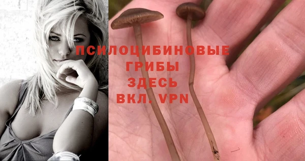 MESCALINE Медвежьегорск