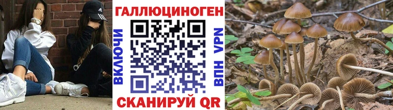 Псилоцибиновые грибы MAGIC MUSHROOMS  Хабаровск 